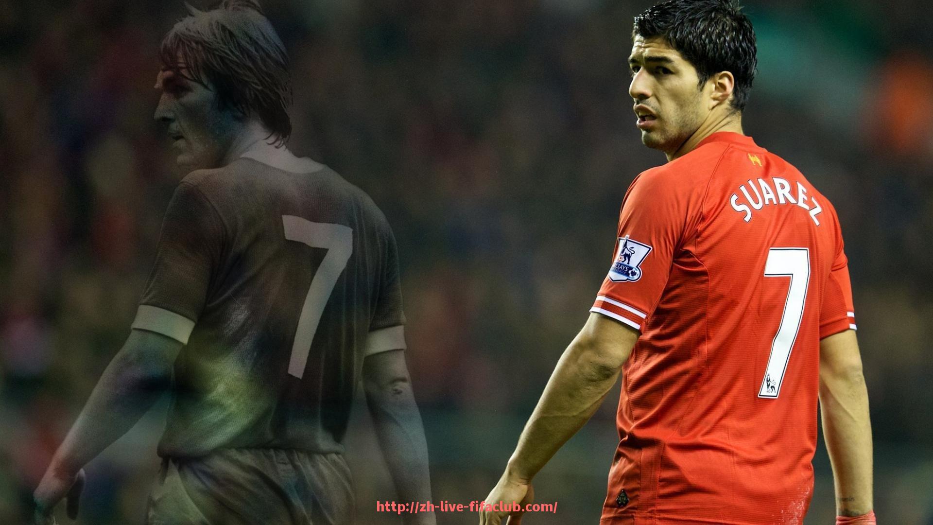 世俱杯直播-世俱杯球迷互动助威合唱视频作品精选推荐